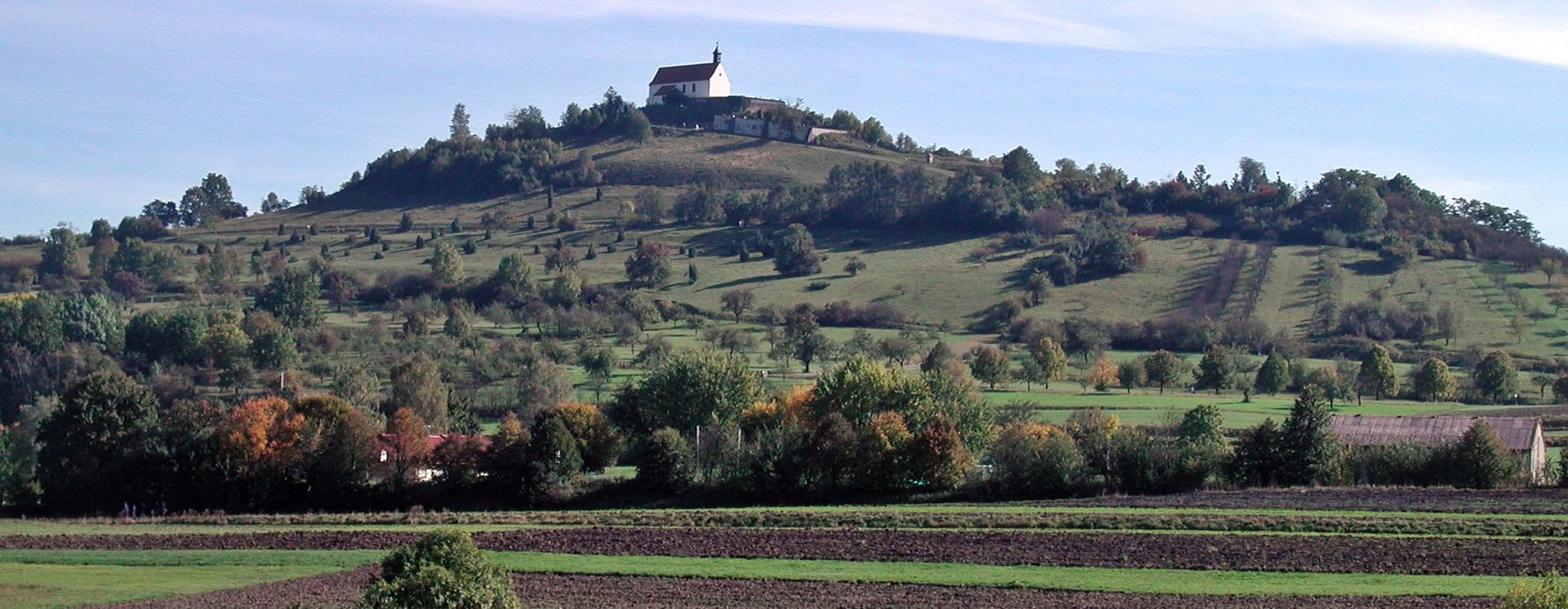 Fachschaft Molekulare Medizin Tübingen